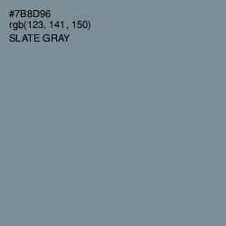 #7B8D96 - Slate Gray Color Image